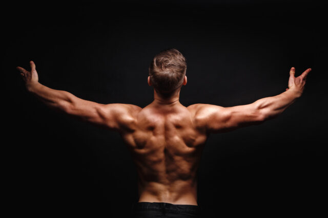 Back muscle building exercises