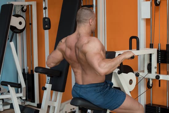 Back muscle building exercises