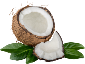 Foods High in Potassium keto : Coconut Water (Unsweetened)