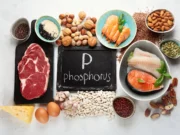 Foods Rich in Phosphate