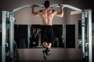 Back muscle building exercises : Pull-ups