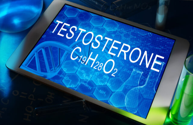 Testosterone Rich Foods Boosters