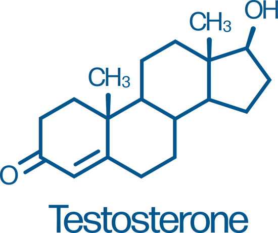 Testosterone Rich Foods Boosters