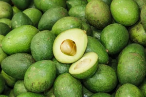 Avocados